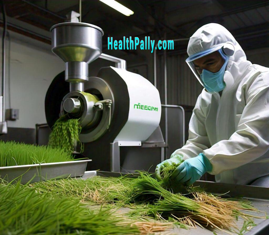 Benefits of wheatgrass extracts