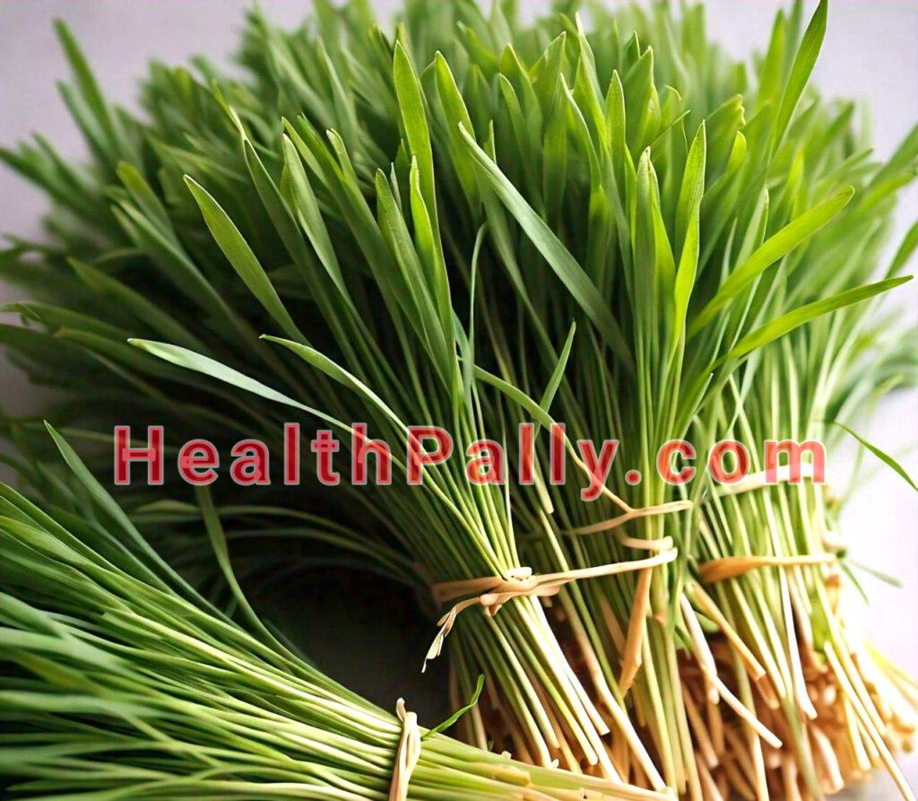 Organic Wheatgrass Juice Nutrition Facts VS Other Foods & Controversies on Health Benefits